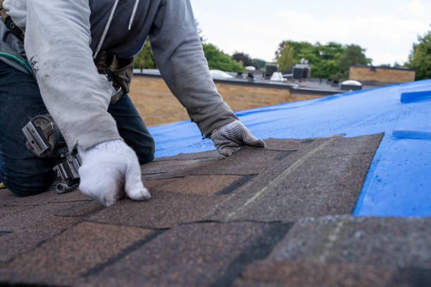 Gutter Installation and Roofing in Lewisville, TX