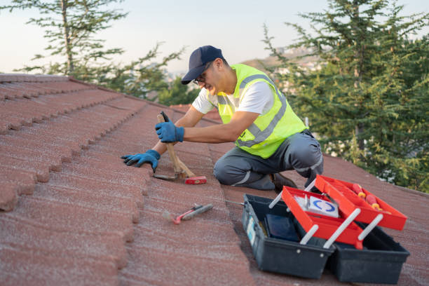 Best Metal Roofing Contractor  in Lewisville, TX