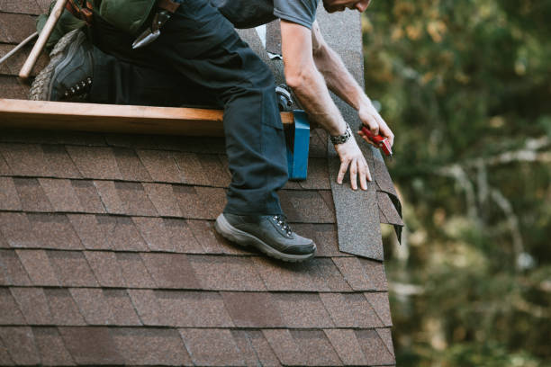 Professional Roofing Contractor in Lewisville, TX